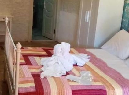 تور هتل آگوا کاپیم استانبول تورنگار