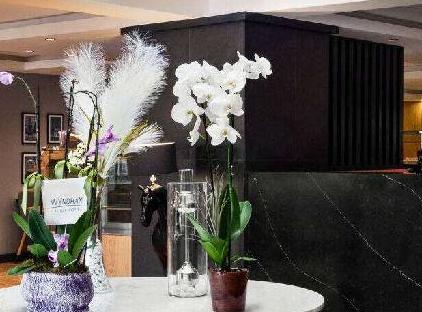 تور هتل جدید فرودگاه استانبول، از مجموعه تریدمارک بای ویندهام تورنگار