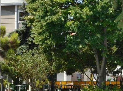 تور هتل سان سیتی فلوریا استانبول تورنگار