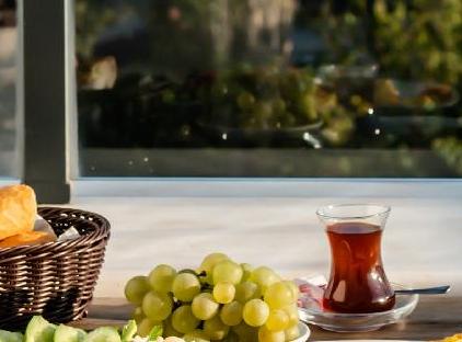 تور هتل کام‌لات استانبول تورنگار