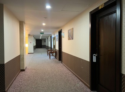 تور شیراز هتل بین‌الحرمین تورنگار