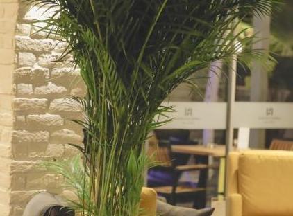 هتل لارن ساحلی و اسپا تورنگار