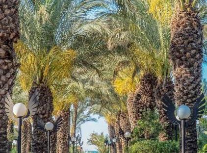 هتل رویال وینگز تورنگار
