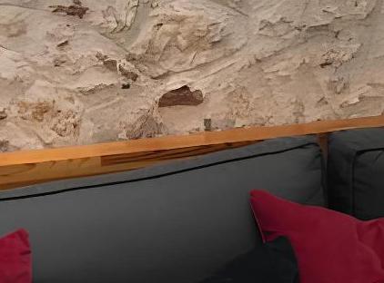 سوئیت گریس لانژ تورنگار