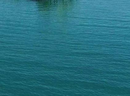 رزورت خانوادگی آستریا بلک تورنگار
