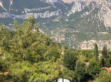 ینوادی تورنگار