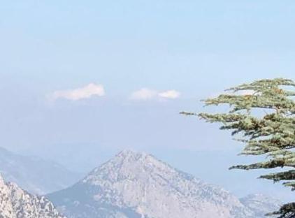 ینوادی تورنگار