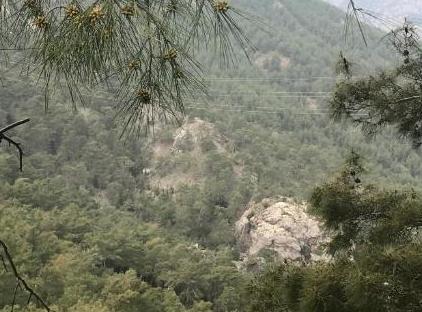 ینوادی تورنگار
