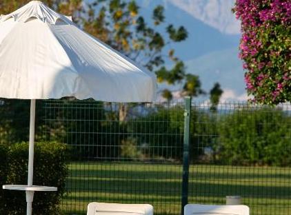 Falcon Hotel تورنگار