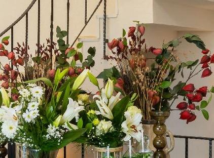 خانه‌های اِما تورنگار
