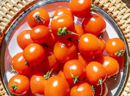 خانه‌های اِما تورنگار