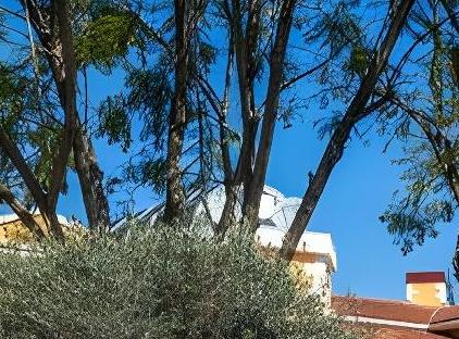 خانه‌های اِما تورنگار