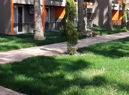هتل دیونیسوس اسپا بلک تورنگار