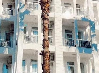 هتل بوتیک اسپرانزا تورنگار