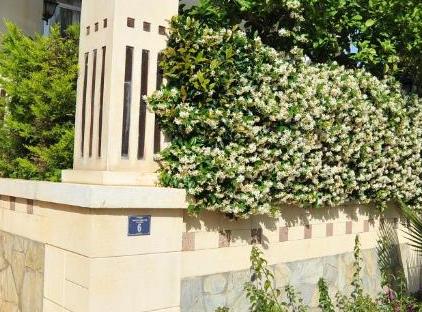 هتل رویال هیل تورنگار