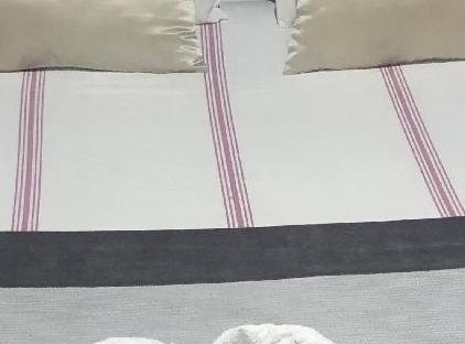 هتل بون آپارت تورنگار