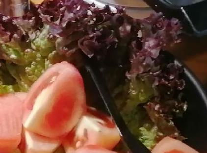 هتل فالکون 1511 تورنگار