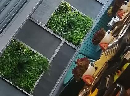 هتل فالکون 1511 تورنگار