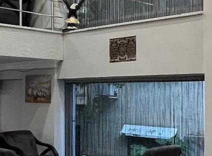 هتل دولکس ارسوی تورنگار