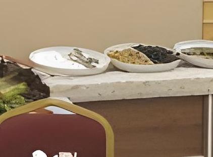 هتل نست آنتالیا تورنگار