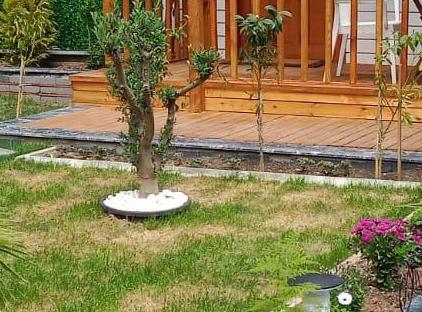 هتل مای هوم گللوک تورنگار