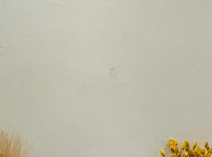 هتل بلومتالیا تورنگار