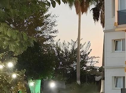 هتل بوتیک لا کاکتوس تورنگار
