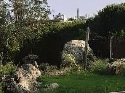 هتل بوتیک لا کاکتوس تورنگار