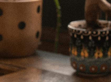 اوتو لارا تورنگار