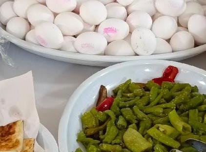 هتل پالمرا سیتی تورنگار