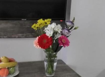 هتل سارپ کادریه تورنگار