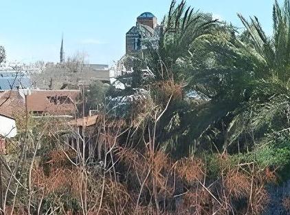 ویلا تولپان تورنگار