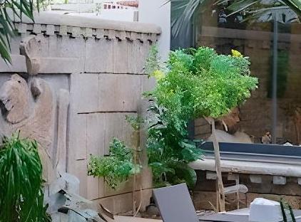 هتل مای اینچی تورنگار