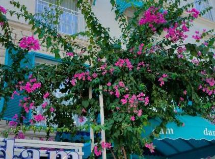هتل دام لارا تورنگار