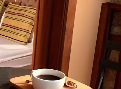 هتل آلپ پاشا - کلاس ویژه تورنگار