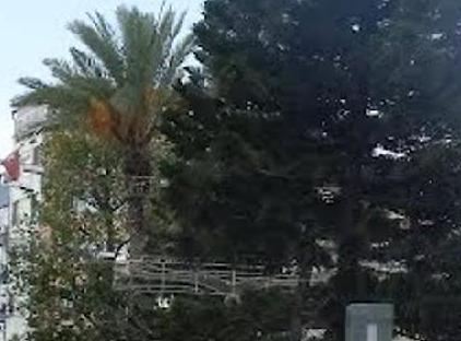 هتل مارکا تورنگار