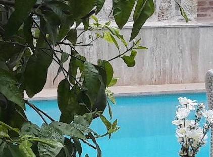 هتل ۱۲۰۷ کلاس ویژه تورنگار