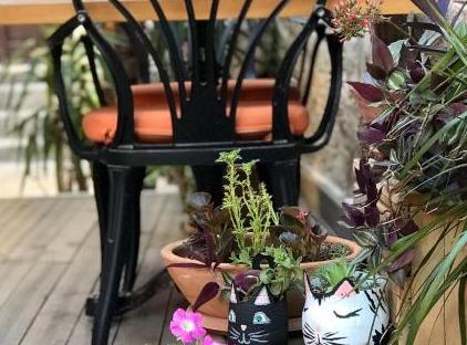 هتل سدرس تورنگار