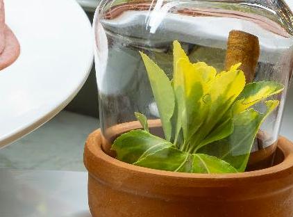 هتل کمپینسکی دم تورنگار