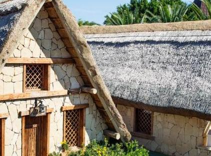 TUI Magic Life Belek                                                                             تورنگار