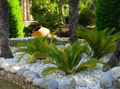 TUI Magic Life Belek                                                                             تورنگار