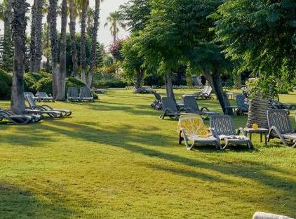 TUI Magic Life Belek                                                                             تورنگار