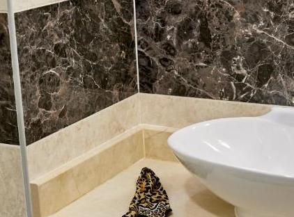 TUI Magic Life Belek                                                                             تورنگار