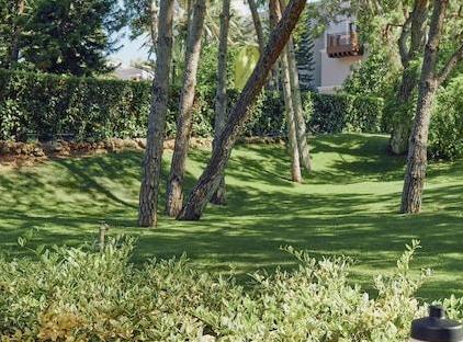 TUI Magic Life Belek                                                                             تورنگار