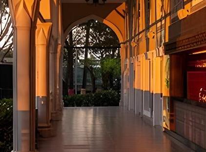 هتل سواندور توپکاپی پالاس تورنگار