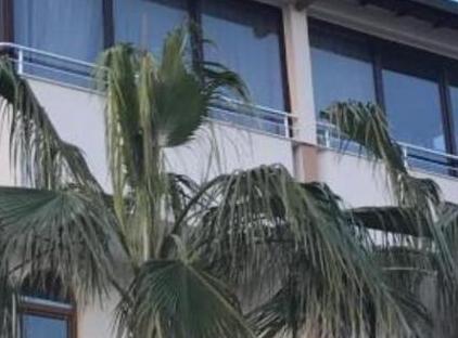 هتل کولیبری تورنگار