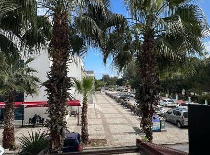 هتل کولیبری تورنگار