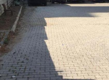 آرک هومز تورنگار