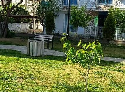 آپارتمان با منظره باغ تورنگار