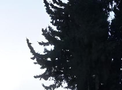 هتل دل‌مار هوم تورنگار